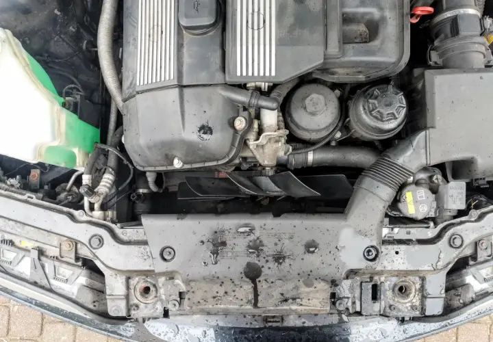 Widok komory silnika BMW E46 z widocznym wentylatorem chłodnicy.