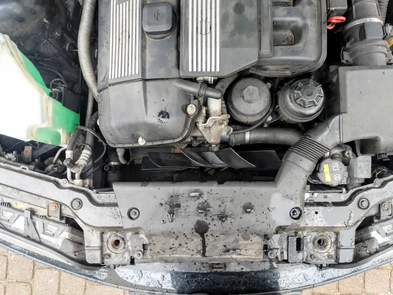 Widok komory silnika BMW E46 z widocznym wentylatorem chłodnicy.
